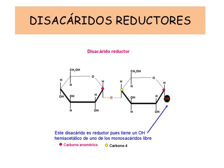 disacaridos reductores